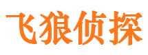 清水河侦探公司